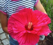 Изображение WhatsApp 2025-07-19 в 22.37.34_aaf6f7ca